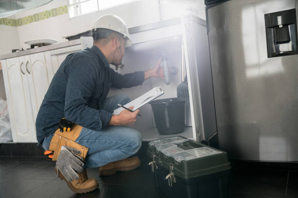 Best Affordable Plumbing Services  in Paynesville, MN