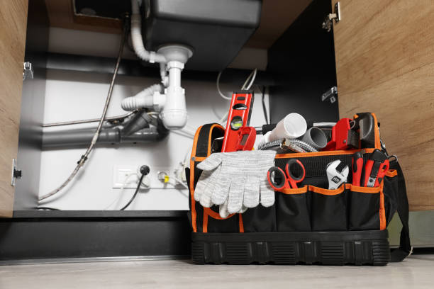 Best Residential Plumbing Services  in Paynesville, MN