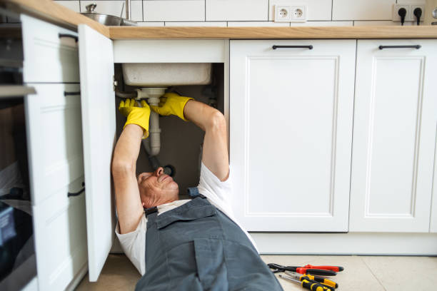 Best Drain Cleaning Services  in Paynesville, MN